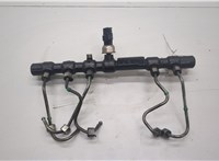  Рампа (рейка) топливная SsangYong Rodius 2004-2013 20554320 #1