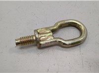  Крюк буксировочный Ford Focus 1 1998-2004 20555022 #1
