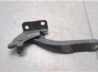  Петля капота Chrysler Town-Country 2007-2010 20555086 #1