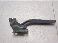  Петля капота Chrysler Town-Country 2007-2010 20555088 #1