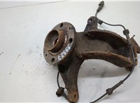  Ступица (кулак, цапфа) Renault Scenic 2003-2009 20555345 #1