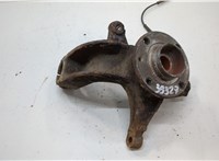  Ступица (кулак, цапфа) Renault Scenic 2003-2009 20555361 #1