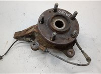  Ступица (кулак, цапфа) Hyundai Santa Fe 2000-2006 20555375 #1