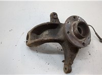  Ступица (кулак, цапфа) Renault Scenic 2003-2009 20555388 #1