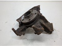  Ступица (кулак, цапфа) Volkswagen Golf 4 1997-2005 20555416 #1