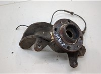  Ступица (кулак, цапфа) Renault Scenic 2003-2009 20555544 #1