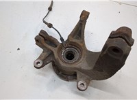  Ступица (кулак, цапфа) Renault Scenic 2003-2009 20555544 #2