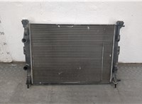 8200115542 Радиатор охлаждения двигателя Renault Scenic 2003-2009 20550888 #1