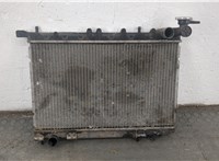  Радиатор охлаждения двигателя Nissan Almera N15 1995-2000 20553809 #1