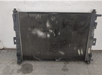 8200115541 Радиатор охлаждения двигателя Renault Megane 2 2002-2009 20554430 #1