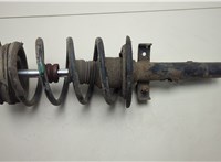  Амортизатор подвески Renault Scenic 2003-2009 20555759 #1