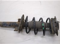  Амортизатор подвески Renault Megane 2 2002-2009 20555762 #1