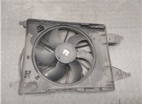  Вентилятор радиатора Renault Scenic 2003-2009 20555763 #7