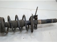  Амортизатор подвески Renault Scenic 2003-2009 20555832 #1