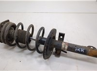 Амортизатор подвески Renault Scenic 2003-2009 20555847 #1
