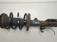  Амортизатор подвески Toyota Avensis 2 2003-2008 20555857 #1