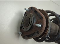  Амортизатор подвески Toyota Avensis 2 2003-2008 20555857 #2
