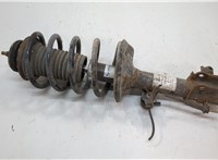  Амортизатор подвески Chevrolet Aveo (T250 / 255) 2006-2012 20555862 #1