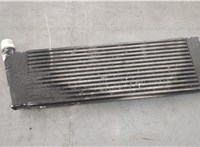  Радиатор интеркулера Renault Scenic 2003-2009 20555900 #5