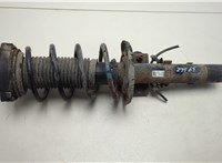  Амортизатор подвески Skoda Fabia 1999-2007 20556038 #1