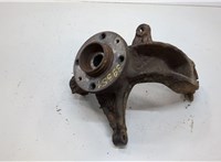  Ступица (кулак, цапфа) Renault Megane 2 2002-2009 20556042 #1