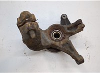  Ступица (кулак, цапфа) Renault Megane 2 2002-2009 20556042 #2