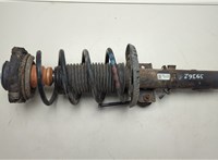  Амортизатор подвески Skoda Fabia 1999-2007 20556043 #1
