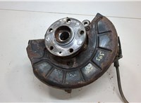  Ступица (кулак, цапфа) Skoda Octavia (A5) 2004-2013 20556052 #1
