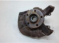  Ступица (кулак, цапфа) Volkswagen Golf 4 1997-2005 20556055 #1