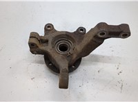  Ступица (кулак, цапфа) Nissan Micra K12E 2002-2010 20556061 #1