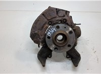  Ступица (кулак, цапфа) Volkswagen Golf 4 1997-2005 20556065 #1