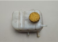  Бачок расширительный Chevrolet Lacetti 2004-2013 20556371 #1