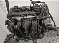 Компрессор кондиционера Ford Focus 2 2005-2008 11477090 #6