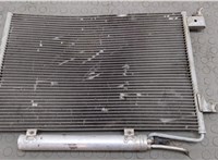  Радиатор кондиционера Mercedes B W245 2005-2011 20557594 #1