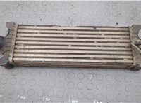  Радиатор интеркулера Ford Transit 2006-2014 20557641 #1