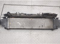  Радиатор интеркулера Mercedes C W204 2006-2015 20557652 #1