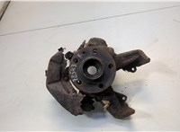 1J0407256AG, 1J0407613G Ступица (кулак, цапфа) Volkswagen Bora 20558184 #1