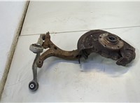  Ступица (кулак, цапфа) Volkswagen Passat 5 2000-2005 20558435 #1