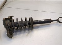  Амортизатор подвески Audi A4 (B5) 1994-2000 20558892 #1