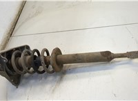  Амортизатор подвески Audi A6 (C6) 2004-2011 20558920 #3