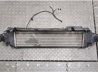  Радиатор интеркулера Mercedes C W204 2006-2015 20558937 #2