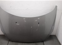  Капот Peugeot 307 2001-2008 20559419 #1