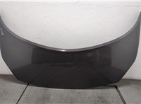  Капот Renault Scenic 2003-2009 20559443 #1