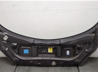  Капот Renault Scenic 2003-2009 20559443 #5