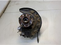  Ступица (кулак, цапфа) Audi A3 (8V) e-tron 2014-2018 20559461 #1