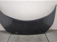  Капот Renault Scenic 2003-2009 20559609 #1