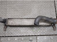  Радиатор интеркулера Ford Galaxy 2000-2006 20559642 #1