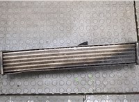  Радиатор интеркулера Ford Galaxy 2000-2006 20559642 #2