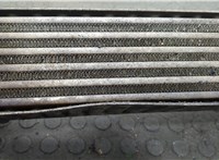  Радиатор интеркулера Ford Galaxy 2000-2006 20559642 #4
