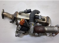 1471000Q0N, 1471000Q0P Клапан рециркуляции газов (EGR) Infiniti EX35 20559680 #1